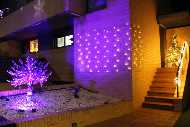 CASAS LUCES 17