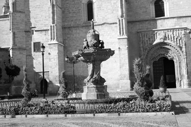 PLAZA ESPAu00d1A blanco y negro