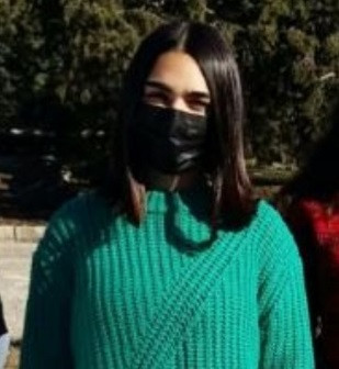 170221 va ies