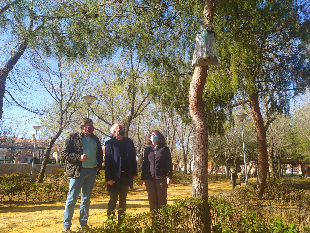 100321 va parque amapola