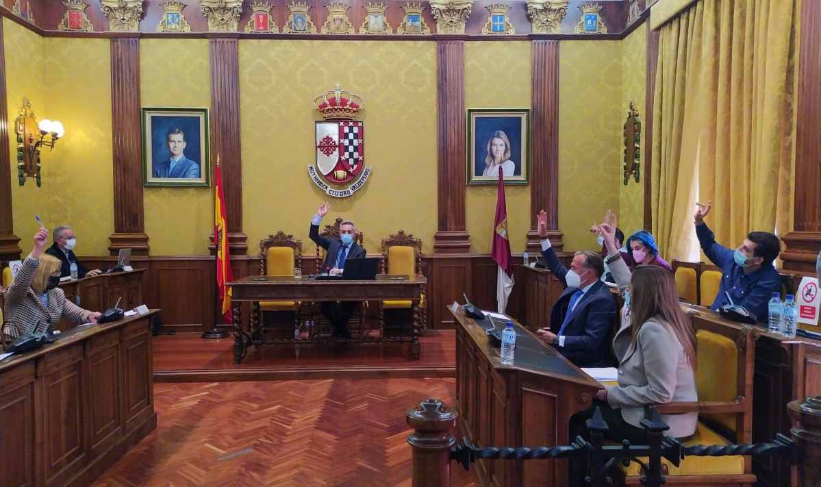 050421 va pleno