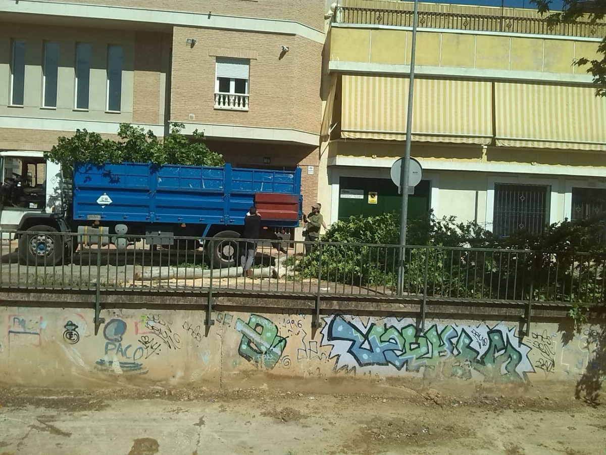 050521 VA ECOLOGISTAS