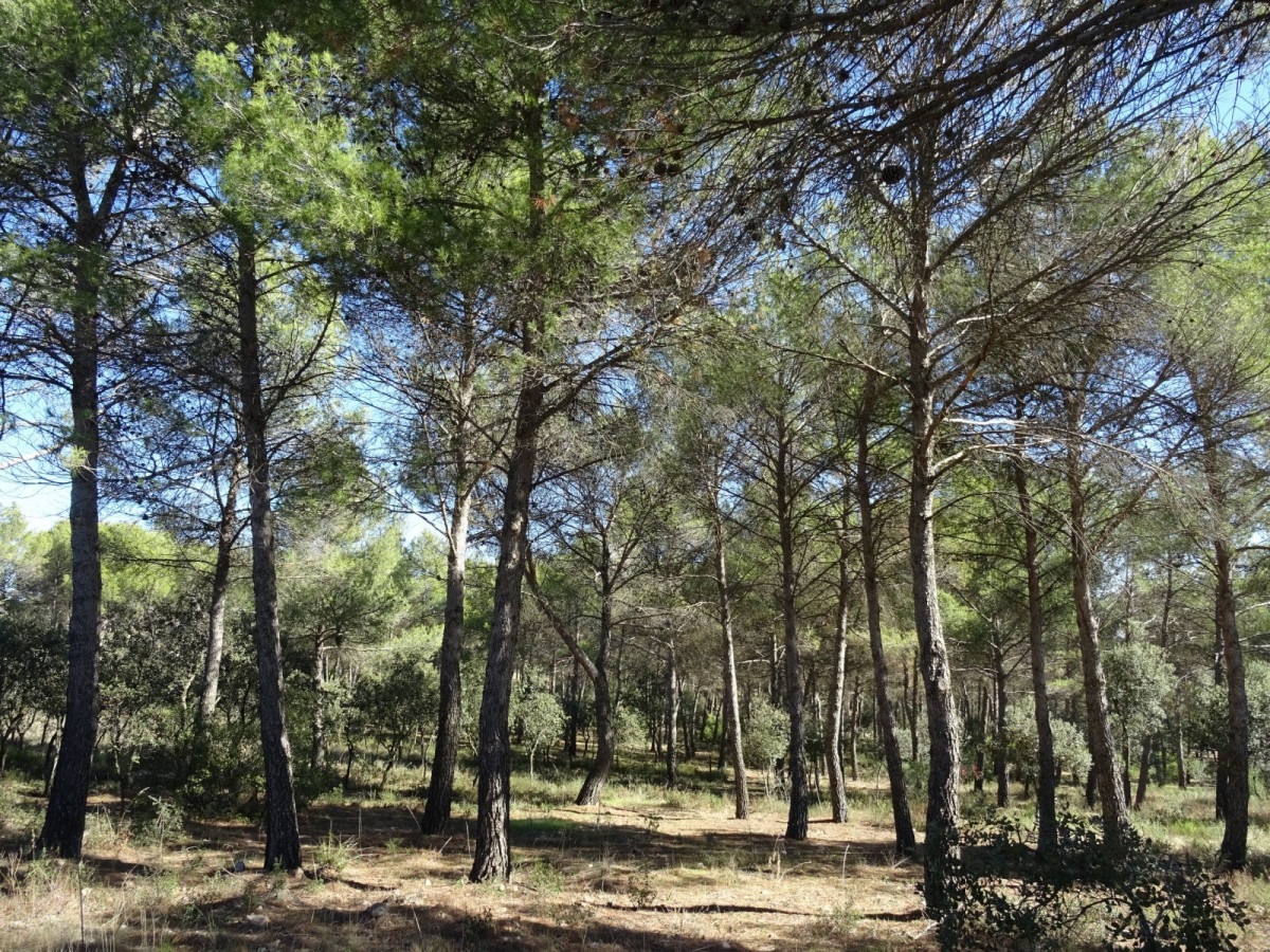 190721 va atalaya