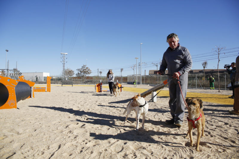 200721 va centro canino