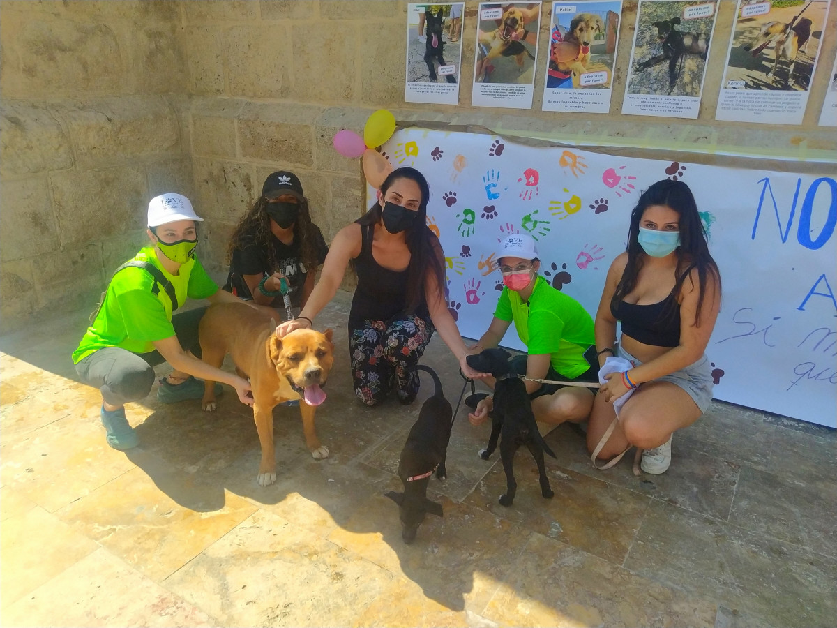 JORNADA ADOPCION