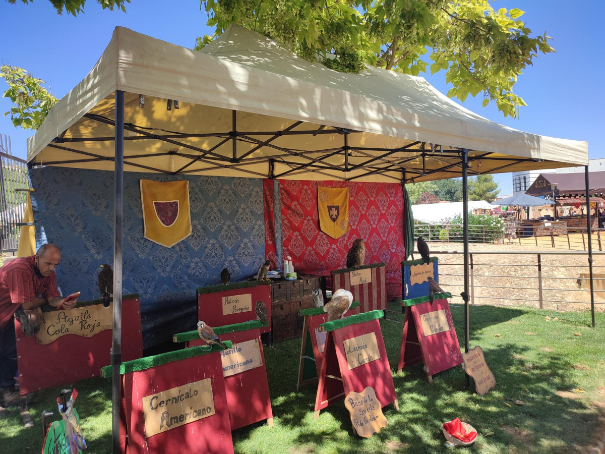 310721 VA MERCADO MEDIEVAL 4