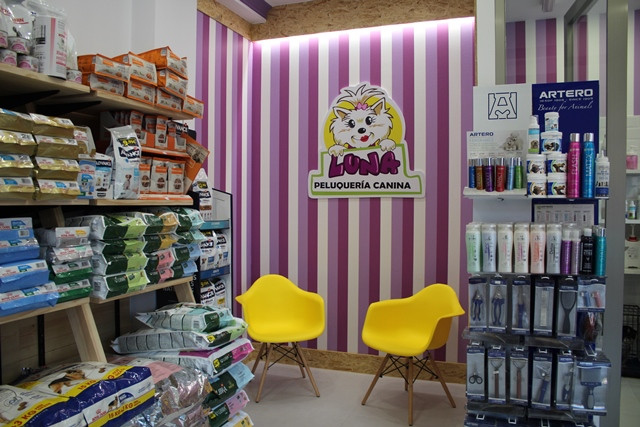 120621 VA PELUQUERIA CANINA LUNA 10