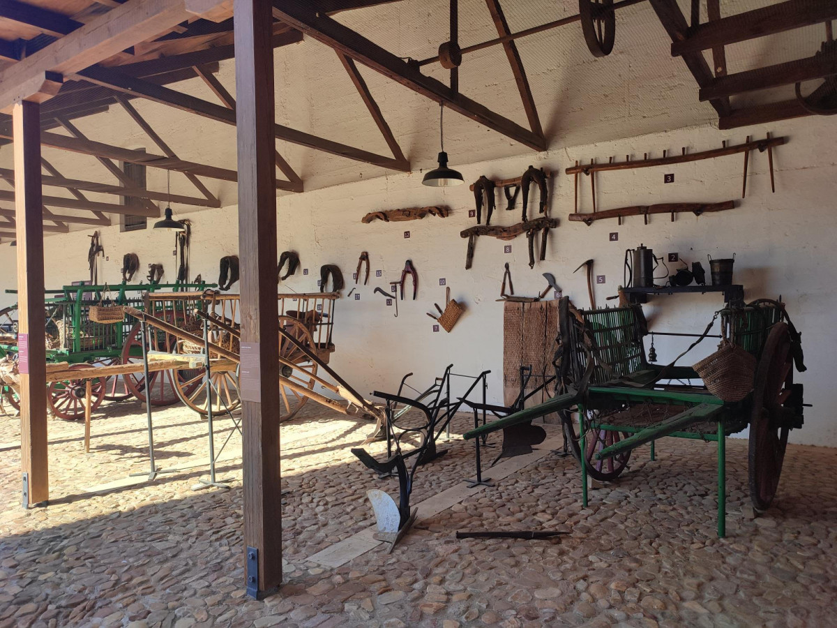 VISITA GUIADA MUSEO DEL VINO 2