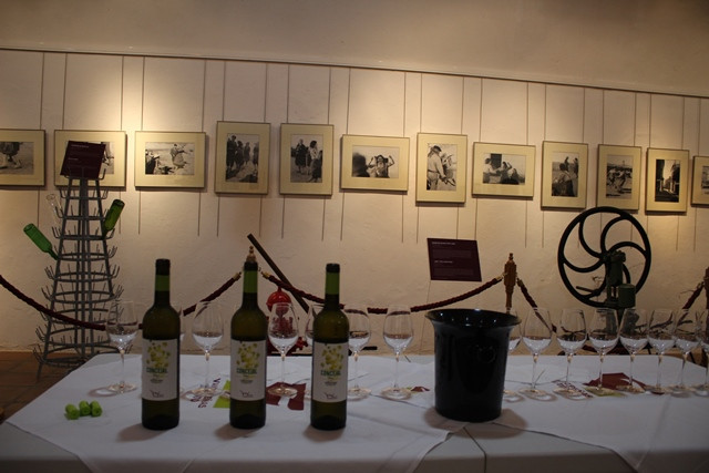 311021 VA PASEO CATA MUSEO DEL VINO 1