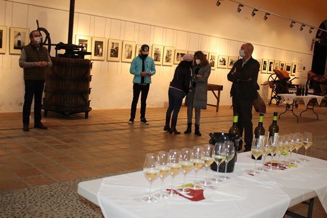 311021 VA PASEO CATA MUSEO DEL VINO 9