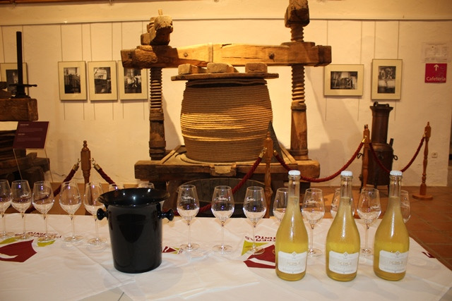 311021 VA PASEO CATA MUSEO DEL VINO 6