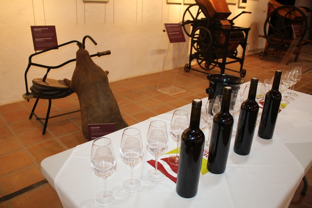 311021 VA PASEO CATA MUSEO DEL VINO 3