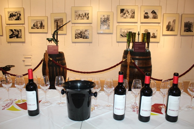311021 VA PASEO CATA MUSEO DEL VINO 2