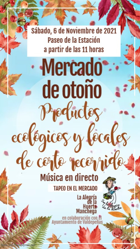 031121 va alegria