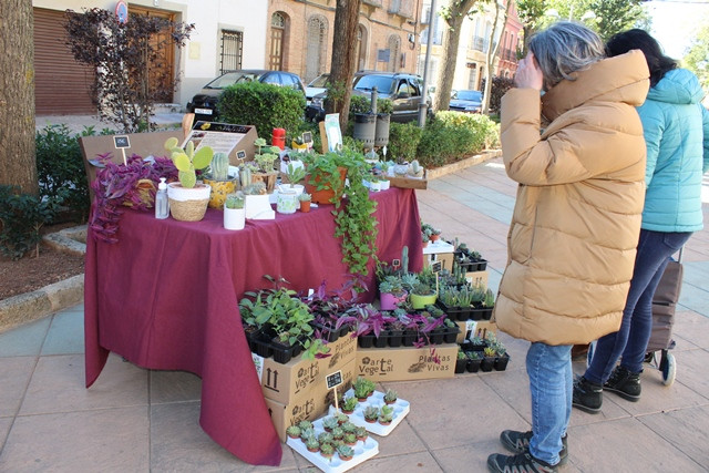 061121 VA MERCADO ALEGRIA HUERTA 11