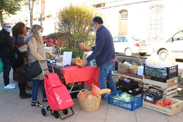 061121 VA MERCADO ALEGRIA HUERTA 6