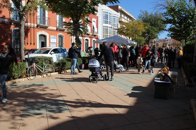 061121 VA MERCADO ALEGRIA HUERTA 3
