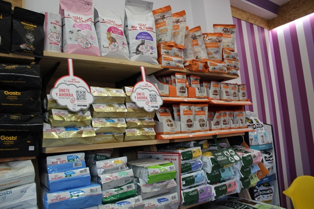 PELUQUERIA CANINA LUNA 4