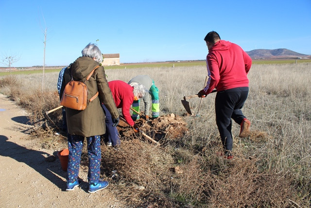031221 VA PLANTACION 1