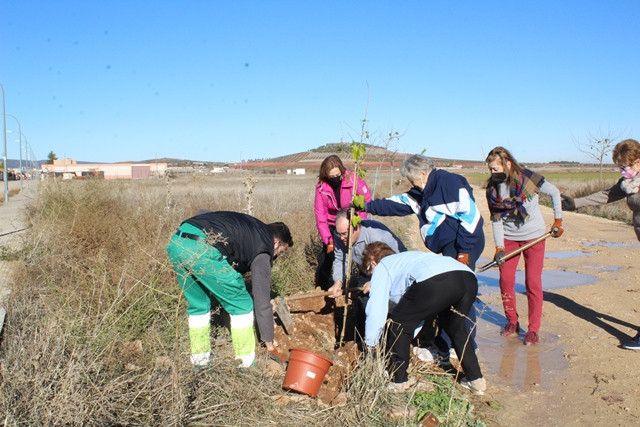 031221 VA PLANTACION 2