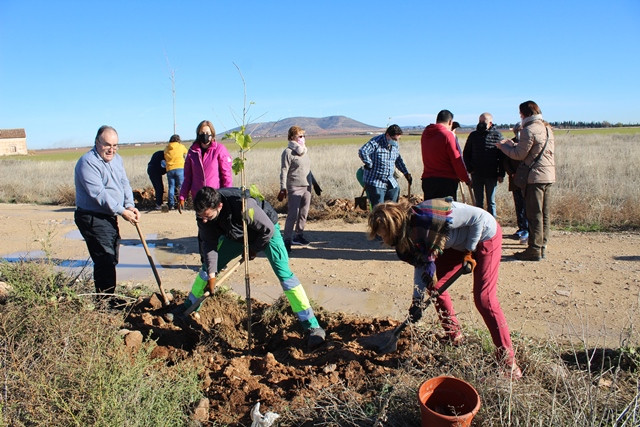 031221 VA PLANTACION 3