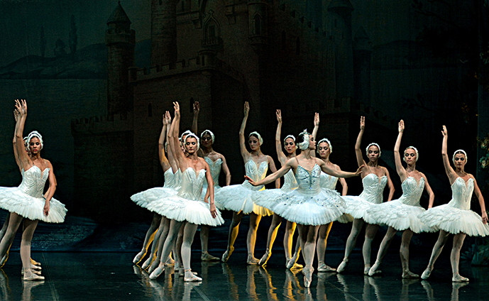 201221 va cisnes