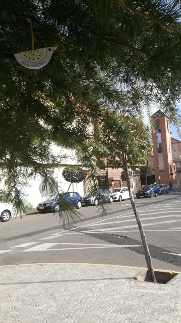 201221 va pajarillo 1