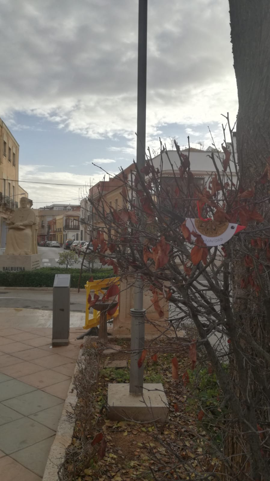 201221 va pajarillo 15