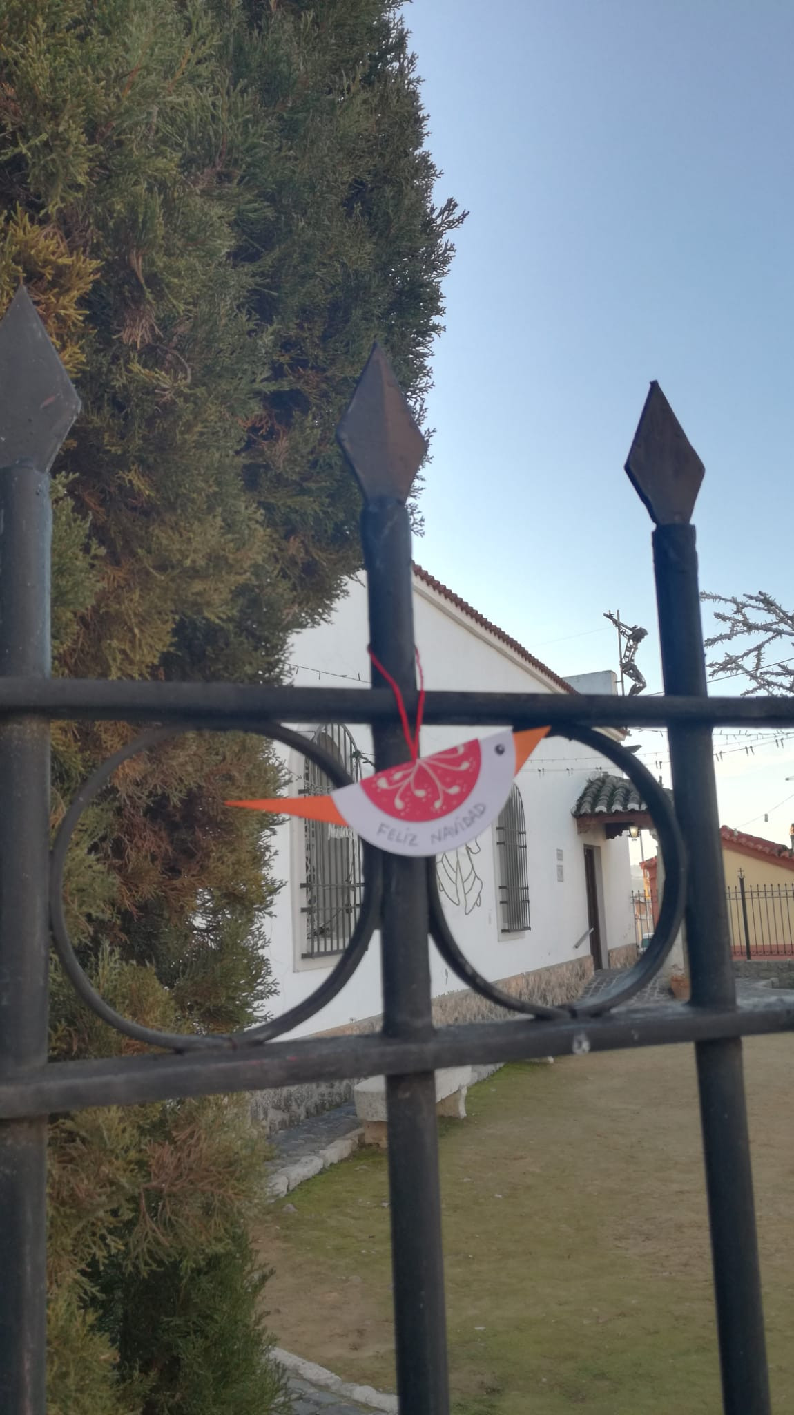 201221 va pajarillo 12