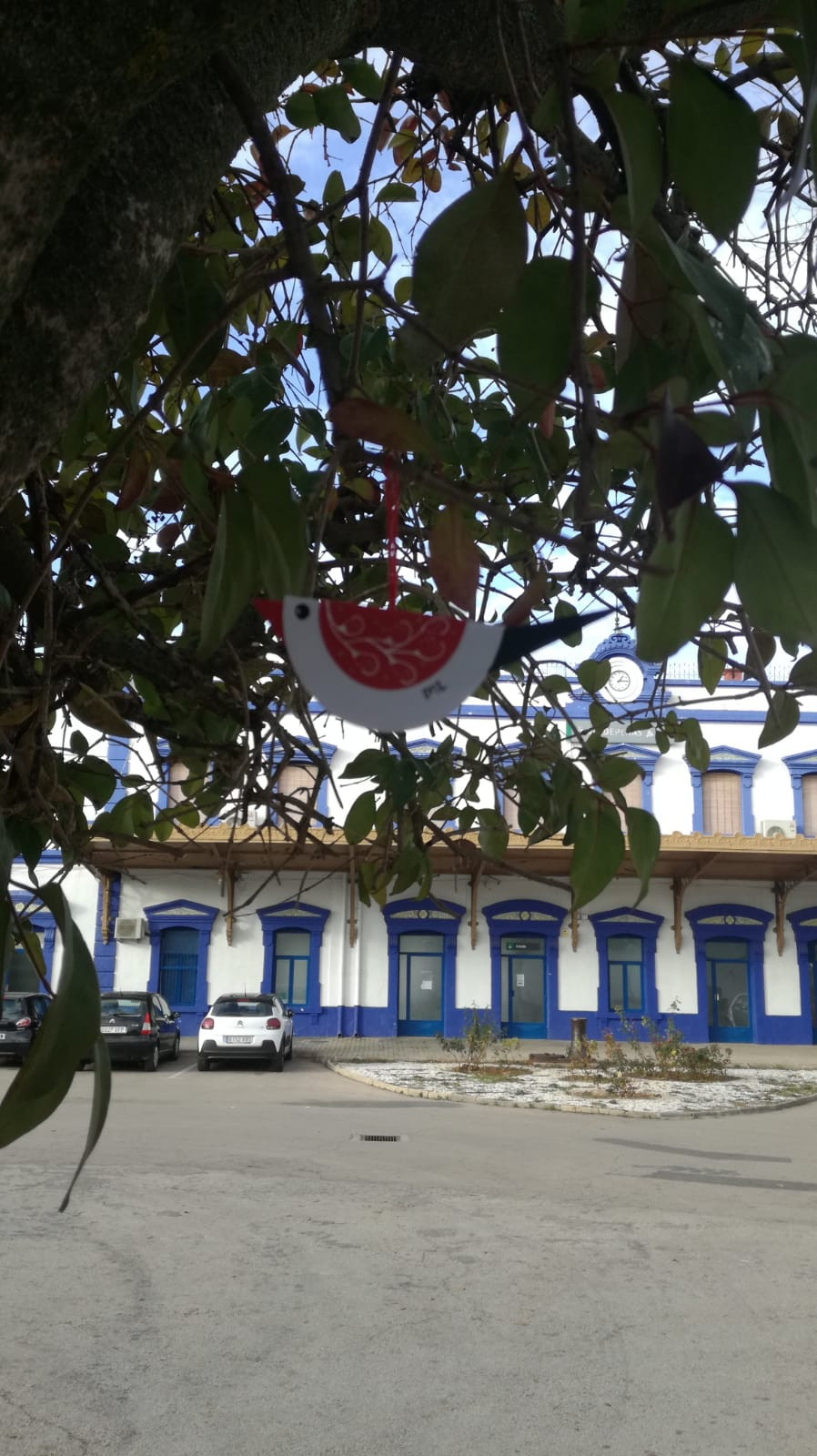 201221 va pajarillo 6
