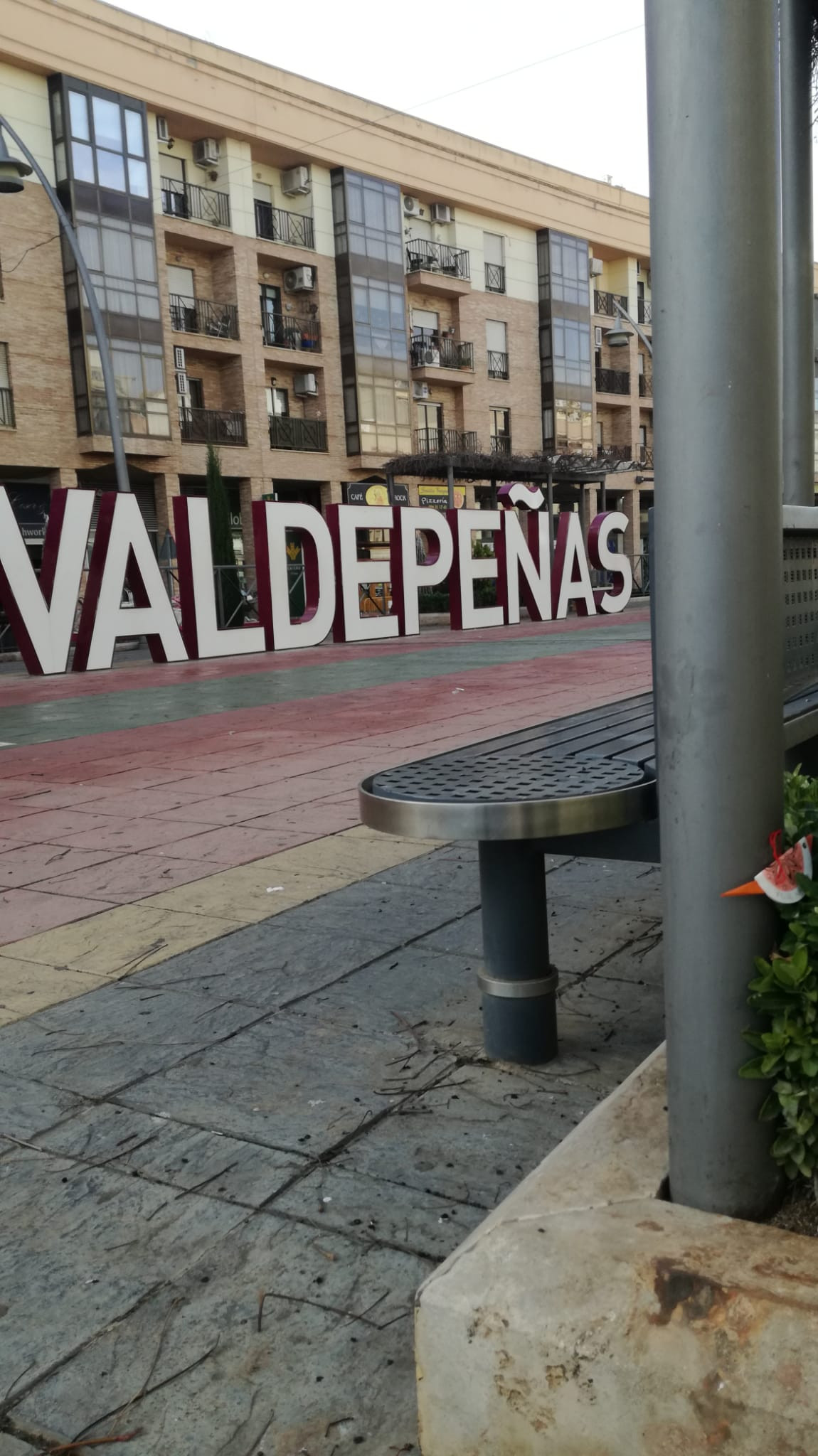 201221 va pajarillo 3