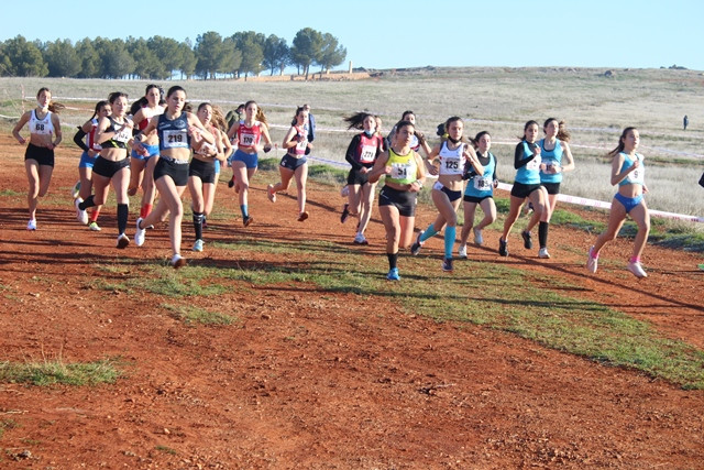 160122 va campeonato regional campo a traves 10