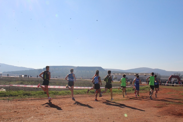 160122 va campeonato regional campo a traves 44