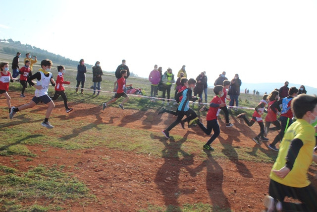 060222 VA CAMPEONATO PROVINCIAL ESCOLAR CAMPO A TRAVES 4
