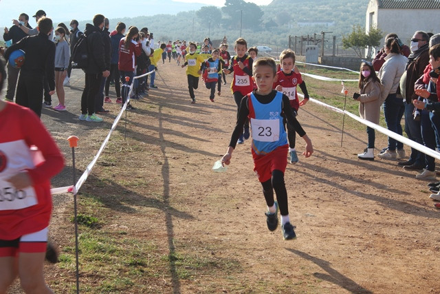 060222 VA CAMPEONATO PROVINCIAL ESCOLAR CAMPO A TRAVES 8