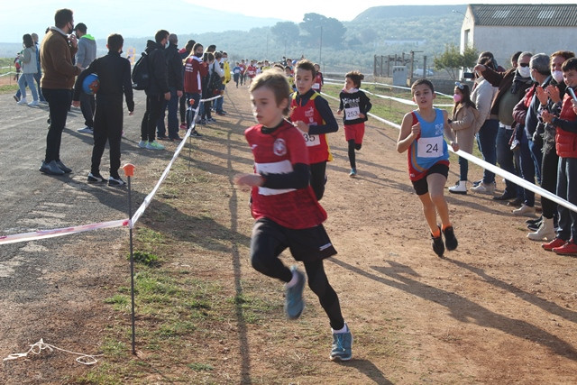 060222 VA CAMPEONATO PROVINCIAL ESCOLAR CAMPO A TRAVES 9