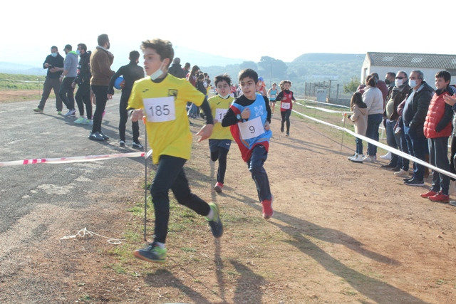 060222 VA CAMPEONATO PROVINCIAL ESCOLAR CAMPO A TRAVES 10