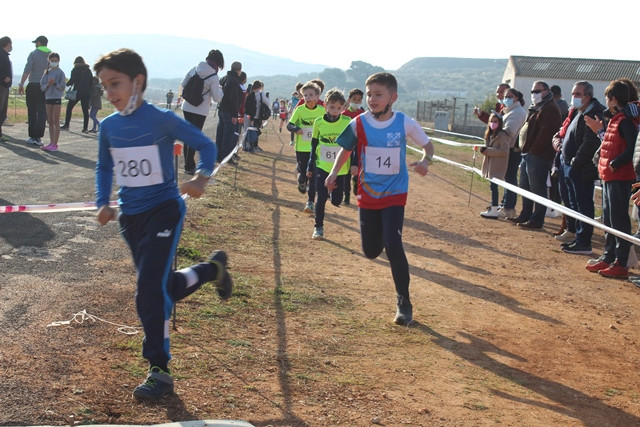 060222 VA CAMPEONATO PROVINCIAL ESCOLAR CAMPO A TRAVES 15