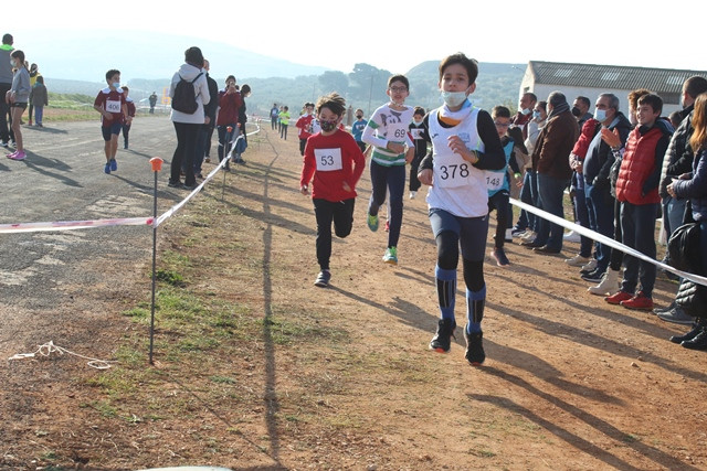 060222 VA CAMPEONATO PROVINCIAL ESCOLAR CAMPO A TRAVES 18