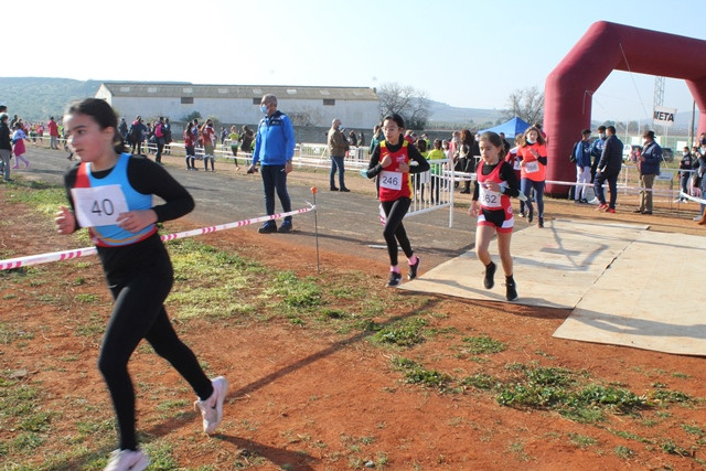060222 VA CAMPEONATO PROVINCIAL ESCOLAR CAMPO A TRAVES 30