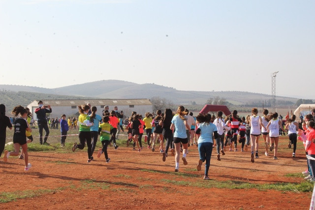 060222 VA CAMPEONATO PROVINCIAL ESCOLAR CAMPO A TRAVES 41