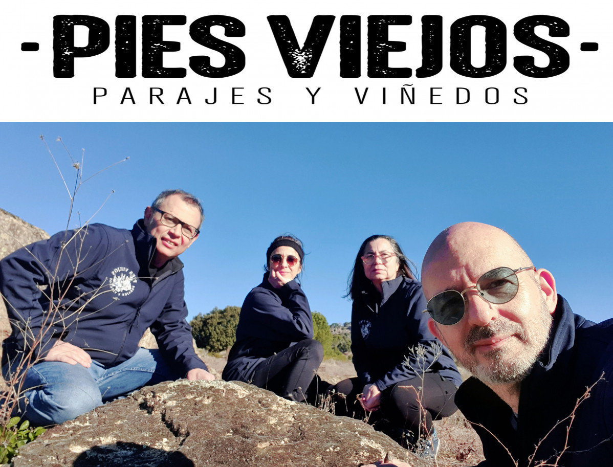 070222 va pies viejos