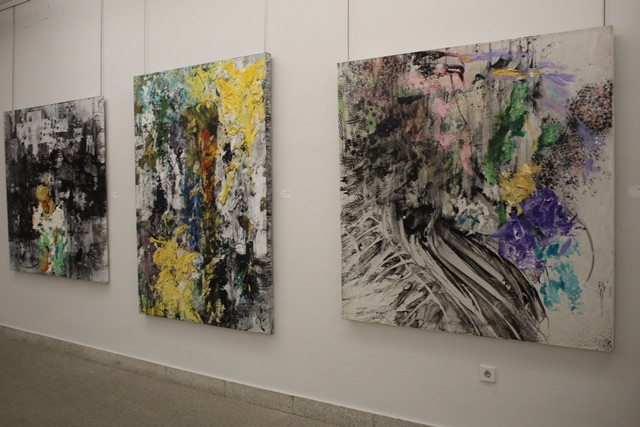 170222 VA EXPO CABRERA 7