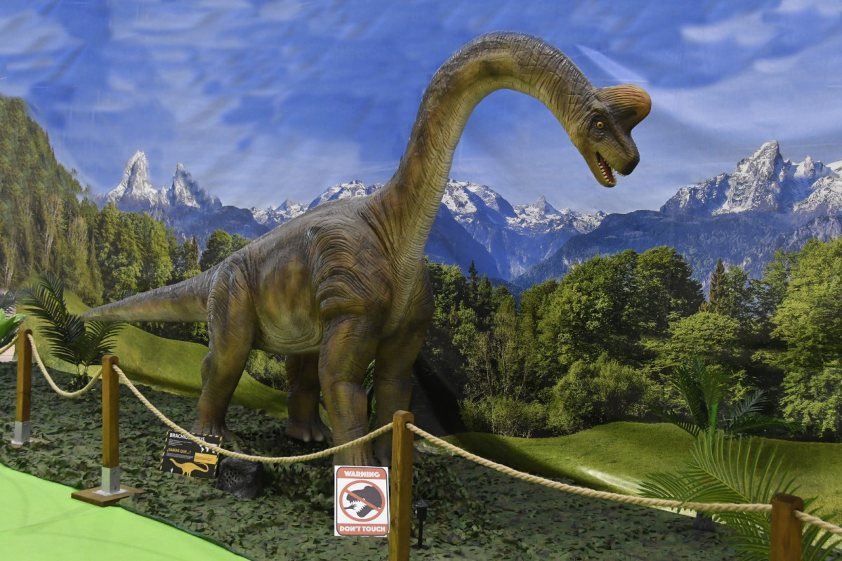 210222 va dinosaur