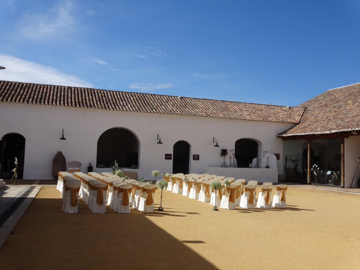 LOGO MUSEO DEL VINO 4