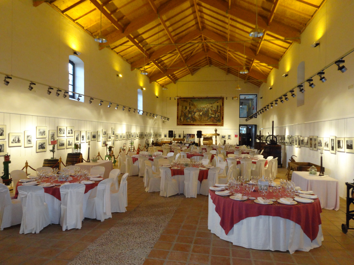 LOGO MUSEO DEL VINO 2