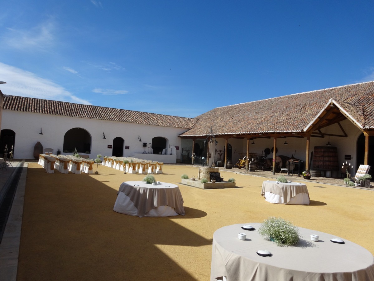 LOGO MUSEO DEL VINO 3