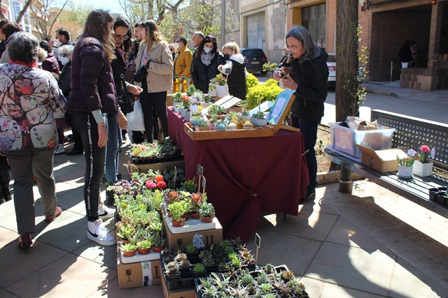 020422 va mercado primavera alegria huerta 12