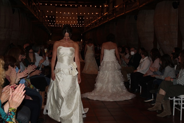 220422 va desfile rosae 13