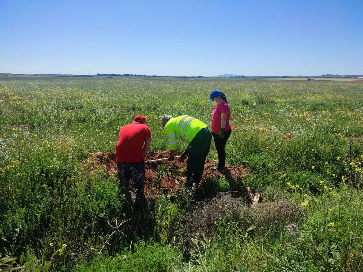 090522 VA REFORESTACION 2